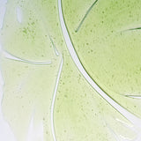 Herbalism Shampoo